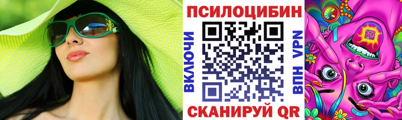мега как войти  Партизанск  Галлюциногенные грибы Psilocybine cubensis 